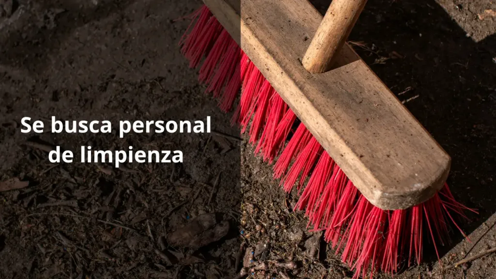 Ofertas de Trabajo de Limpieza de Casas: Guía para Encontrar las Mejores Oportunidades
